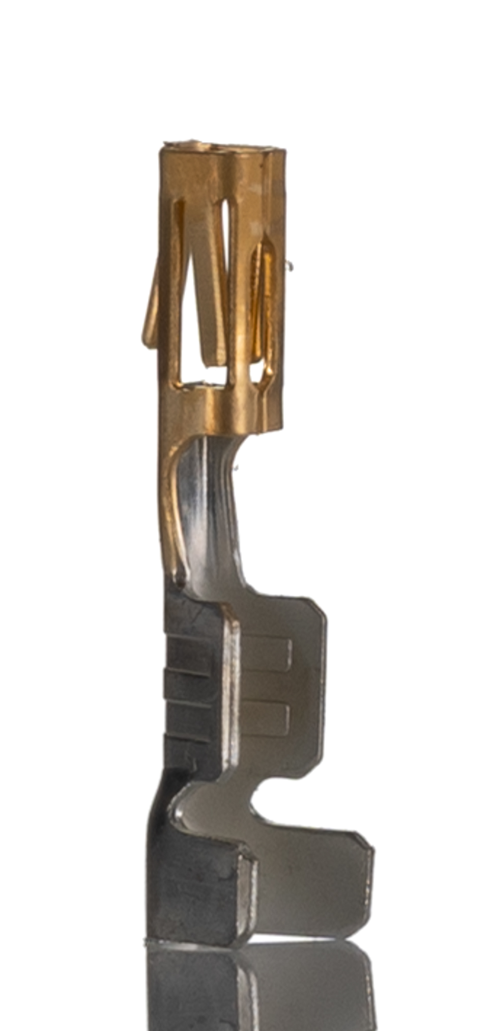 CC79L-2024-01-S