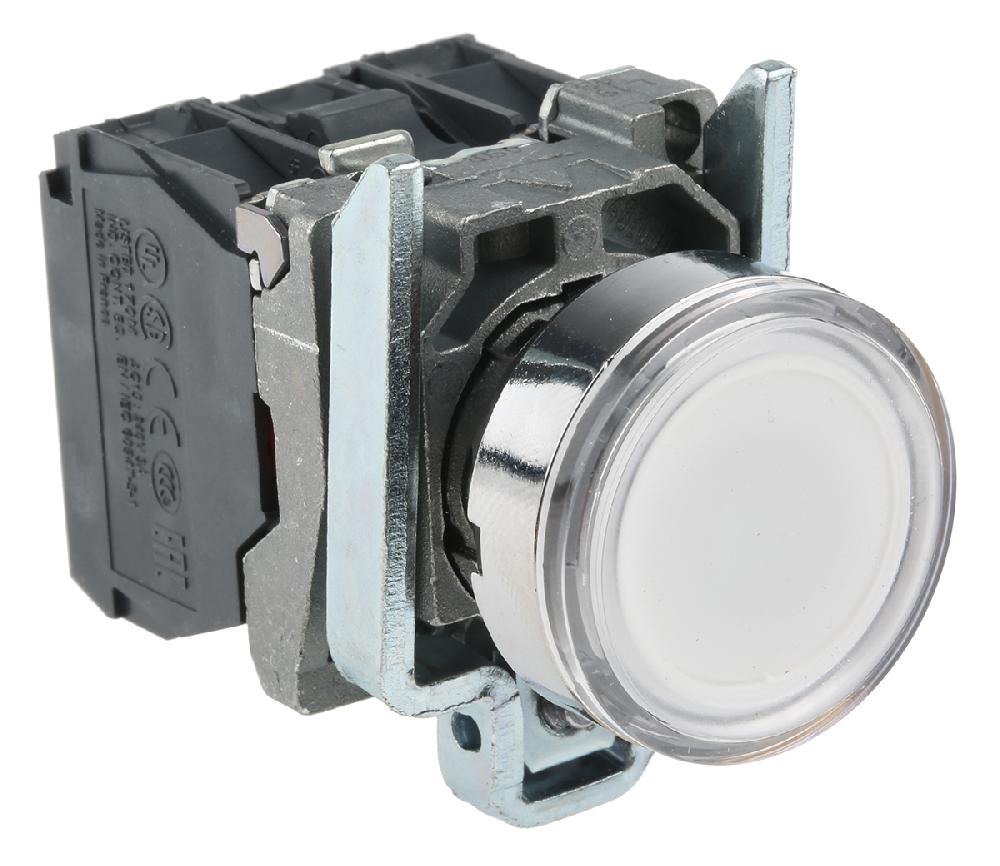 XB4BW31B5