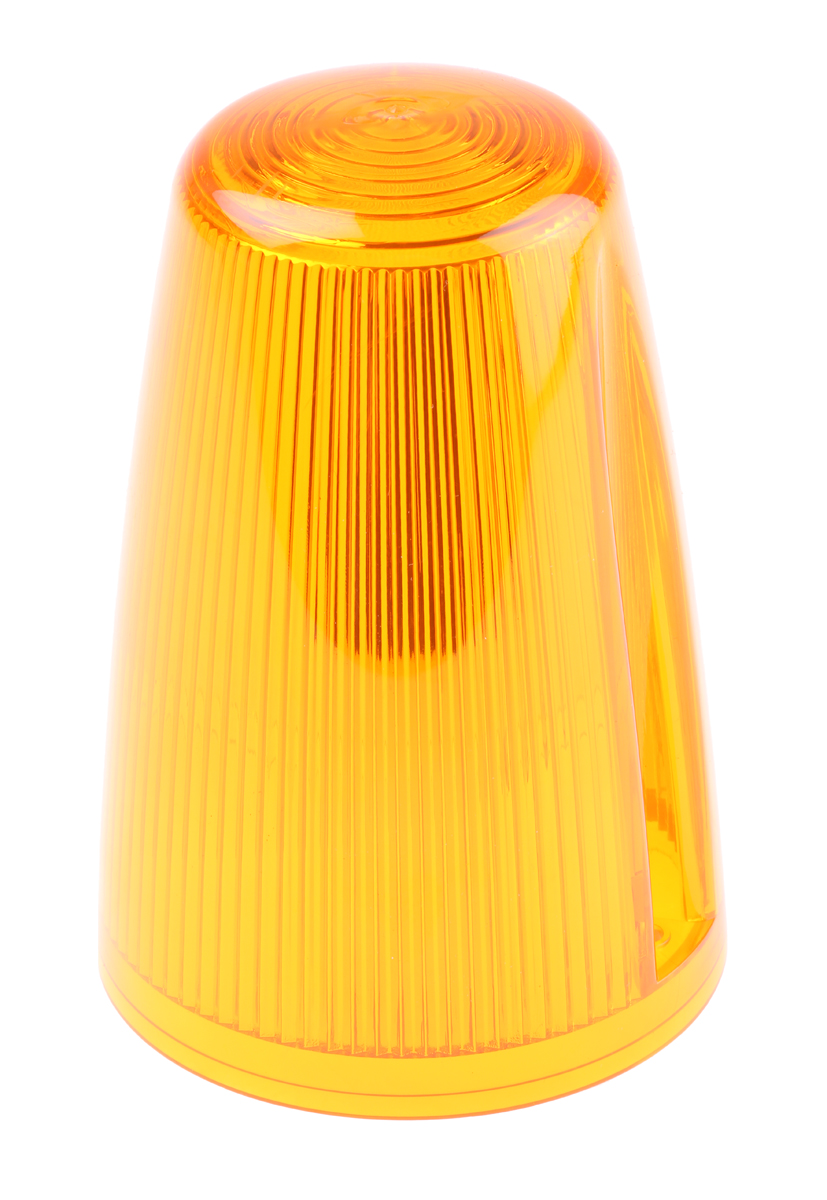 50019