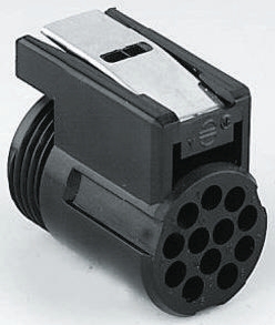MBG4P1