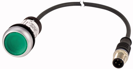 181300 C22-DL-G-K10-24-P5