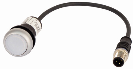 181307 C22-DL-W-K10-24-P5