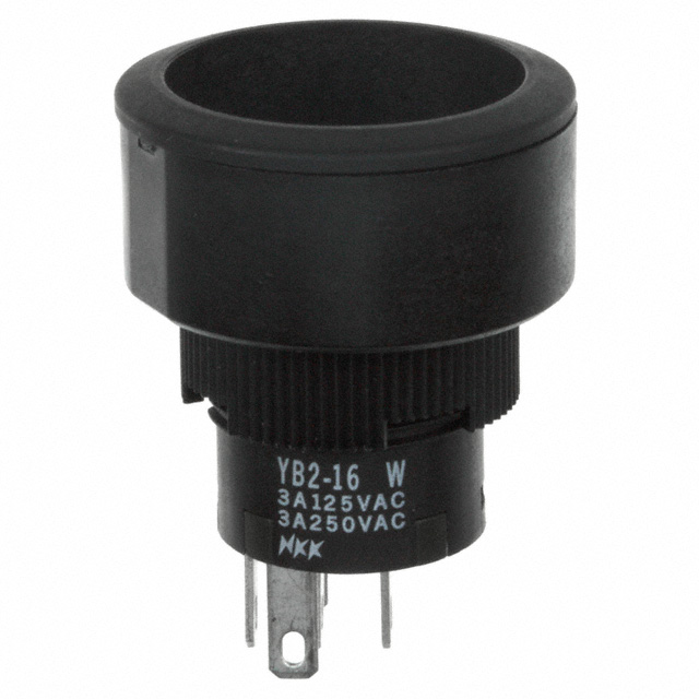 YB216CWCKG01