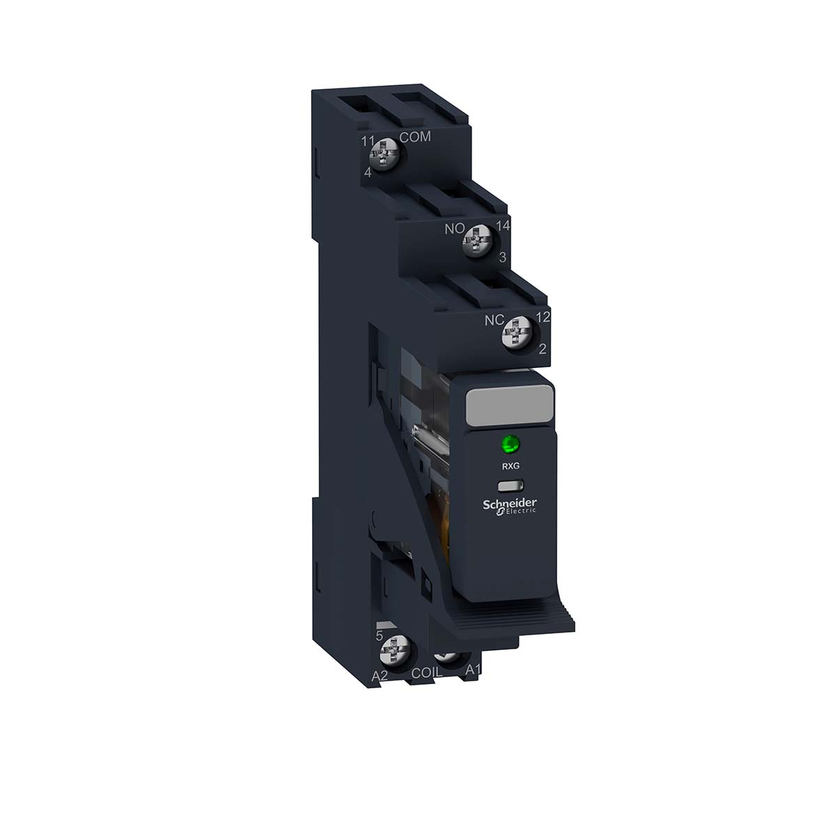 RXG13P7PV