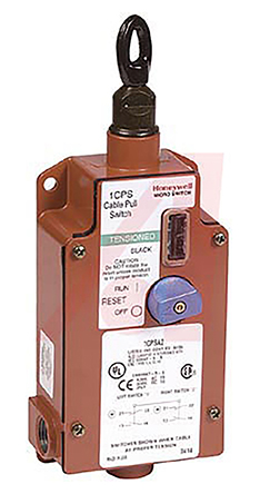 1CPSA2