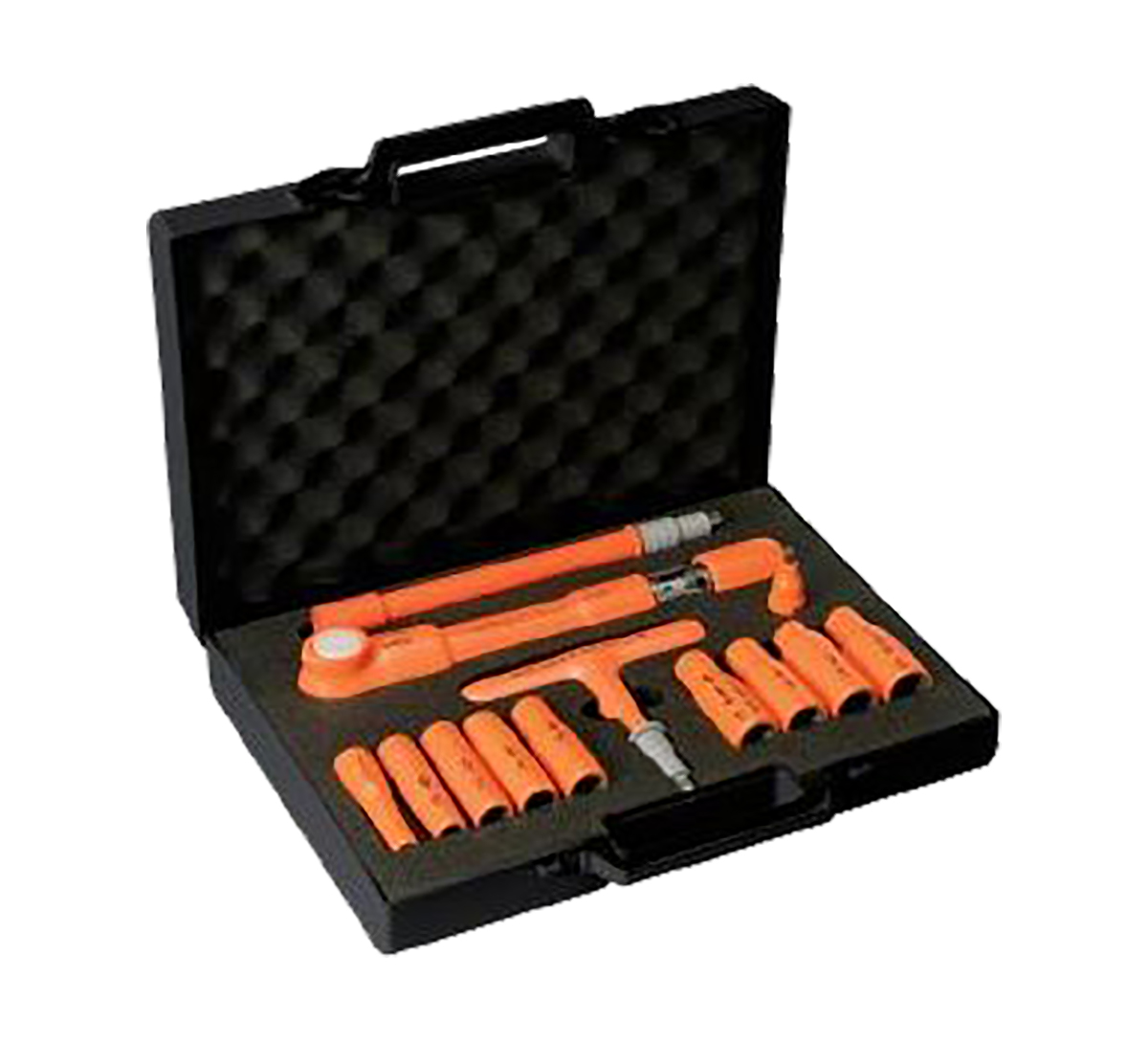 MS100V02