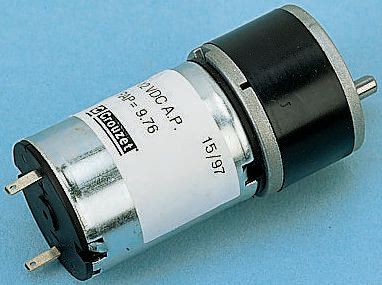 82862005