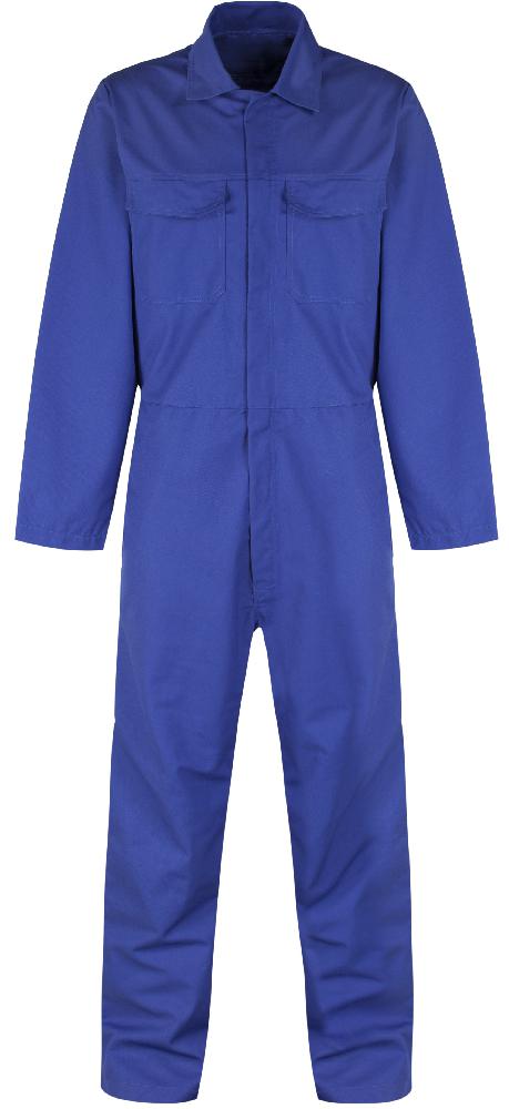 MC30 Royal Regular 4XL