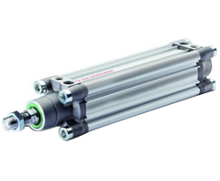 PRA/802063/M/125