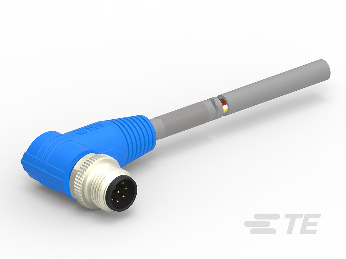 T4161220008-004