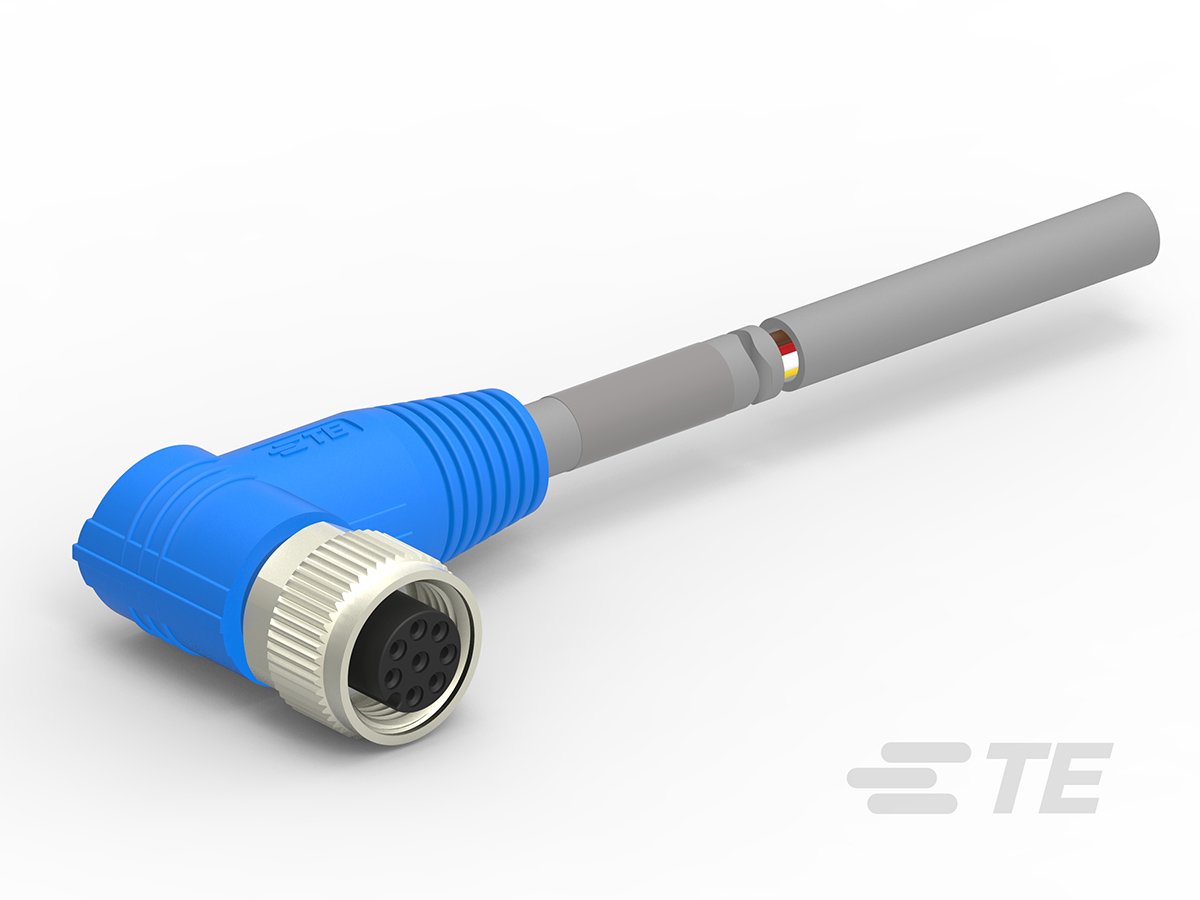 T4161420008-003