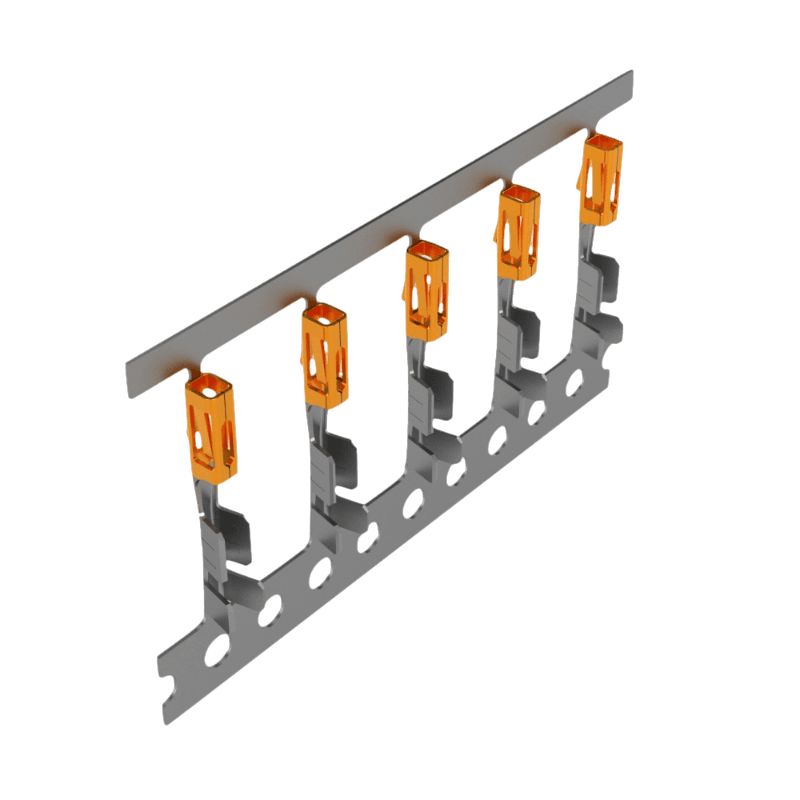 CC79R-2024-01-L