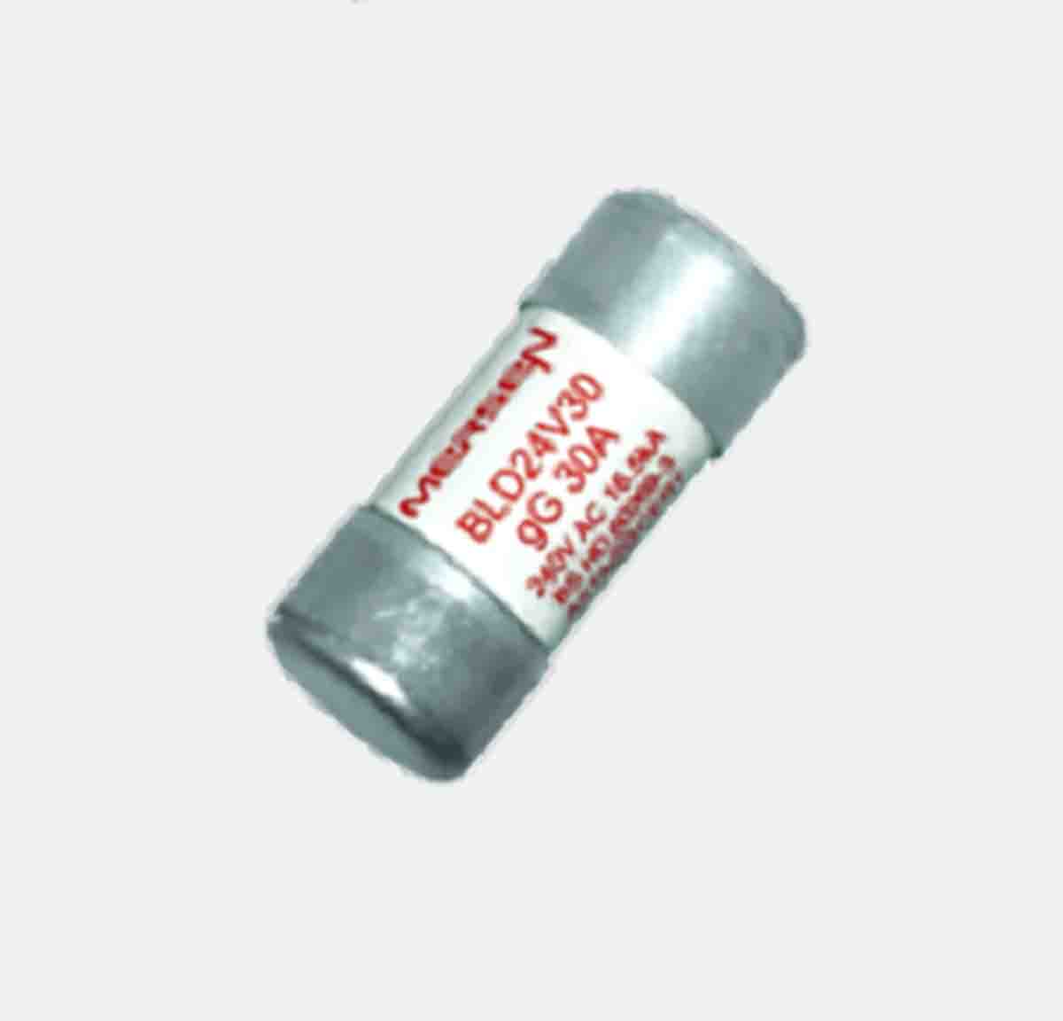 Q1065696 / BLD24V20