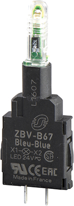 ZBVB17