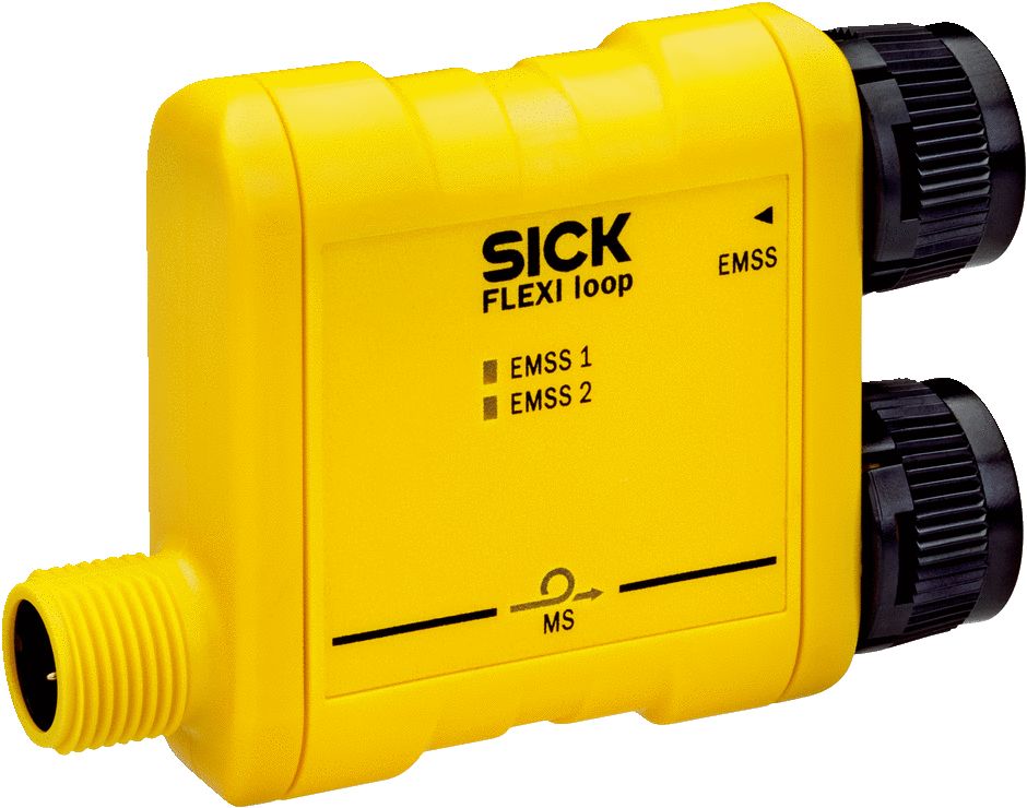 FLN-EMSS0000105