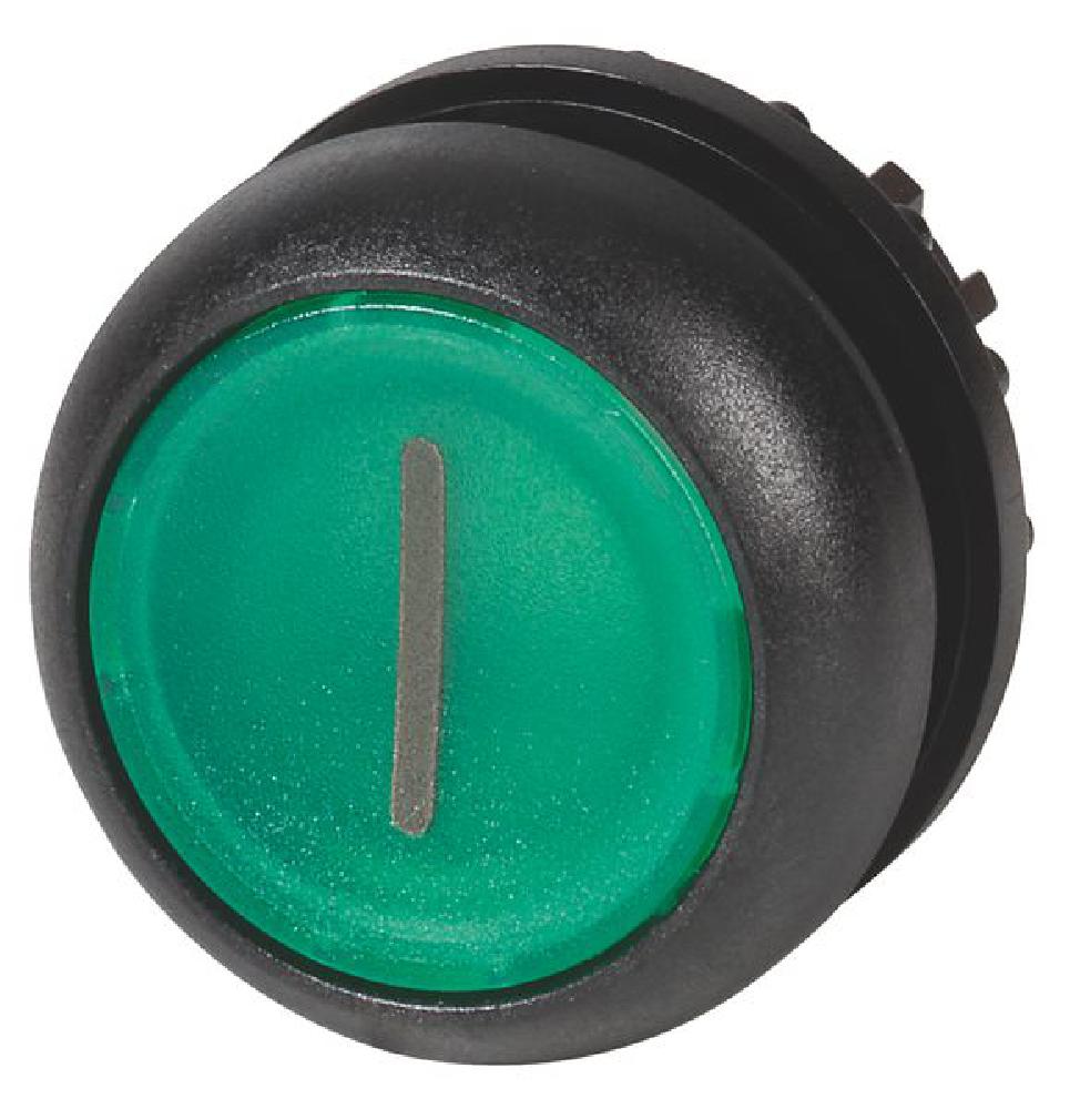 216939 M22S-DL-G-X1