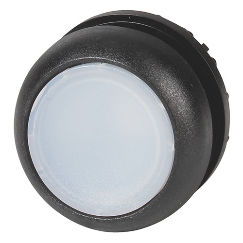 216945 M22S-DRL-W