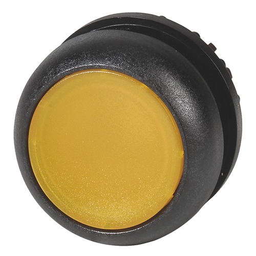 216951 M22S-DRL-Y