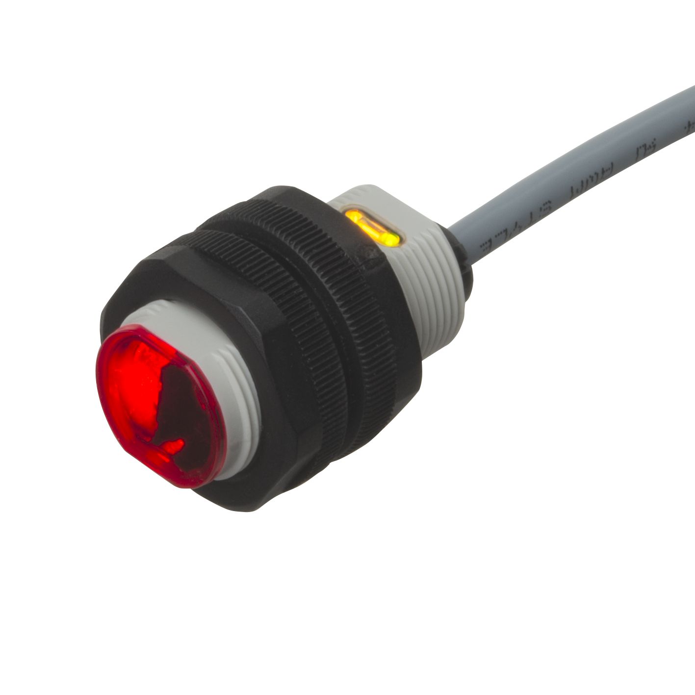 PA18CAT20
