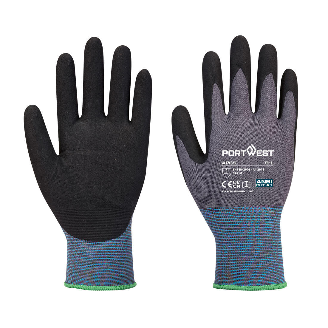 AP65-2XL
