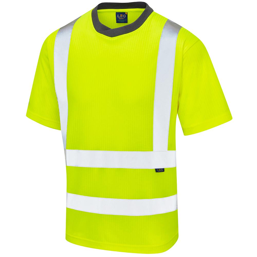T01-Y-LEO-XL