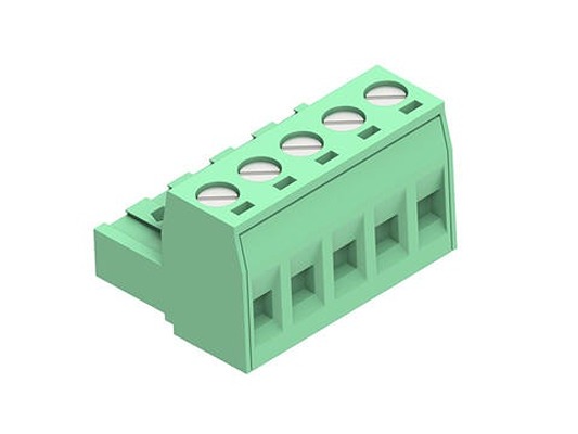 395305005