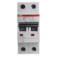 2CDS272001R0065  S202M-B6