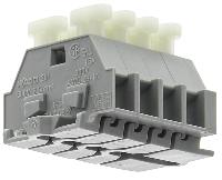 50077016