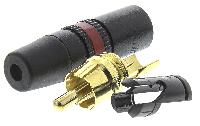 NYS373-2