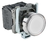 XB4BW31B5