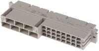 09062312881
