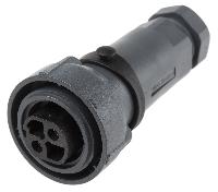 PXP7010/02S/ST/1113