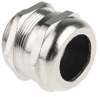 19000005096