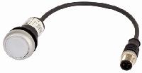 181631 C22-DRL-W-K10-24-P3
