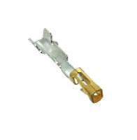 CC79R-2024-01-S