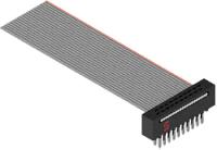 FFMD-10-T-02.00-01-N