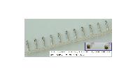 SJ2F-002GF-P1.0