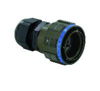 RJFTV6MG