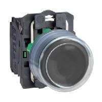 XB5AP21