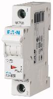 242211 PLSM-C50-MW