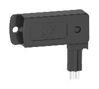CCT15955