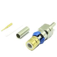 310-832-TNG-BI