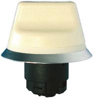 NWS 32.1