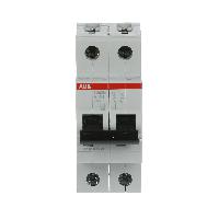 2CDS272001R0205  S202M-B20