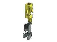 CC79L-2024-01-L