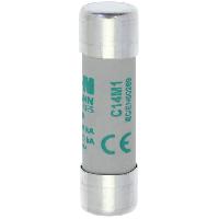 C14M1