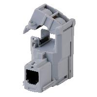 48290558