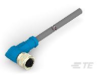 T4161420005-004