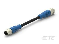 T4162123004-001