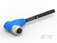 T4161410008-005